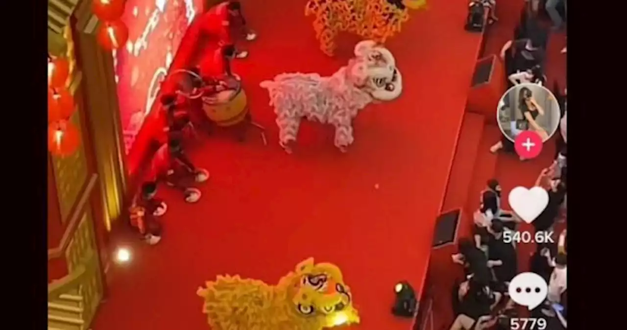 Chinese New Year lion dance troupe 'embraces new generation' with TikTok moves