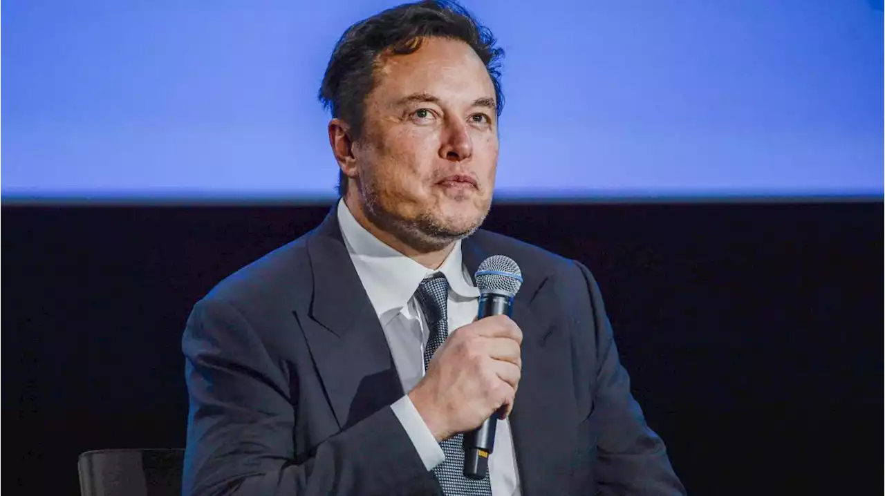 Prozess gegen Elon Musk startet in San Francisco