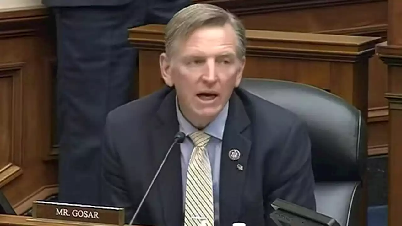 Please, Speaker McCarthy, let Rep. Paul Gosar go on a snipe hunt for 'traitors'