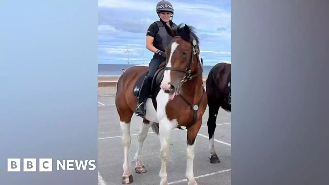 South Yorkshire Police to sell horse who has not excelled at the job