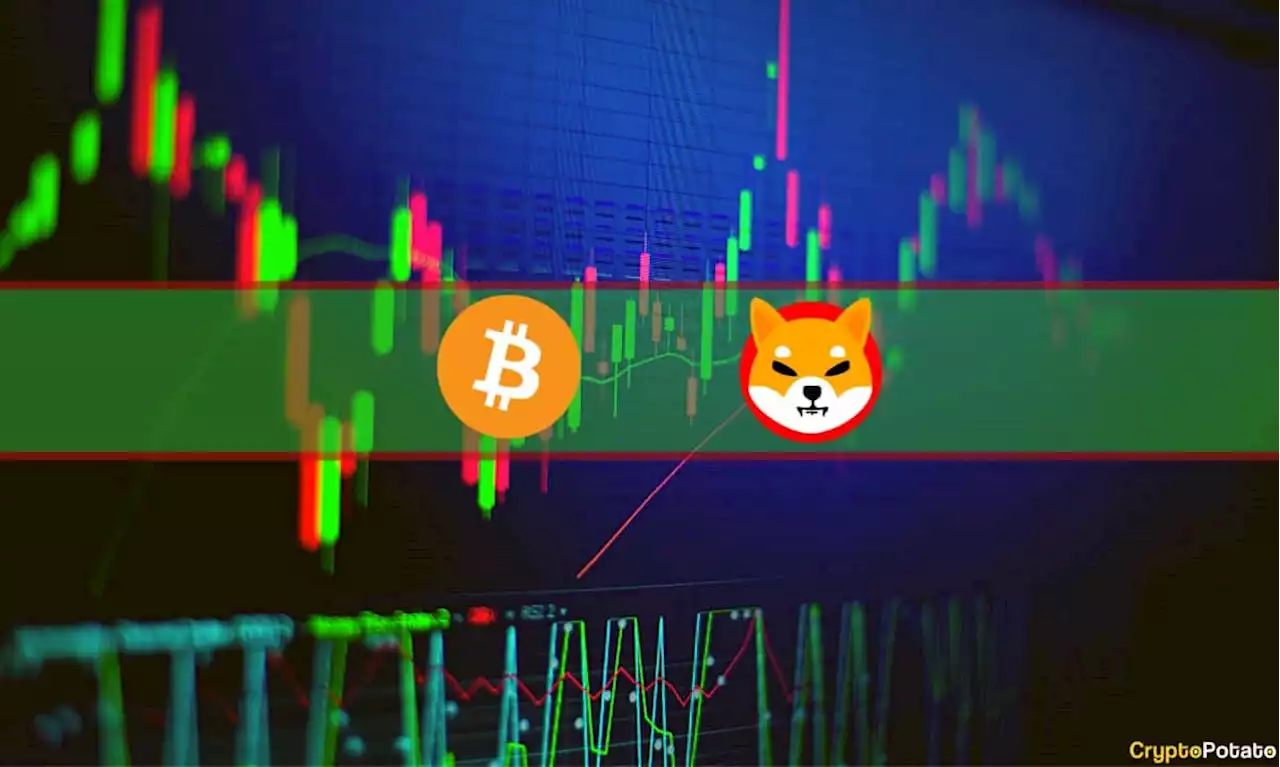 Market Watch: Shiba Inu Skyrockets 16%, Bitcoin Tapped 3-Month High