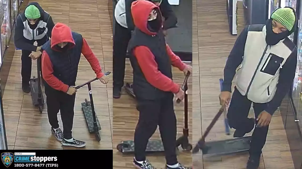 Police seek 2 men who stole purse from elderly woman