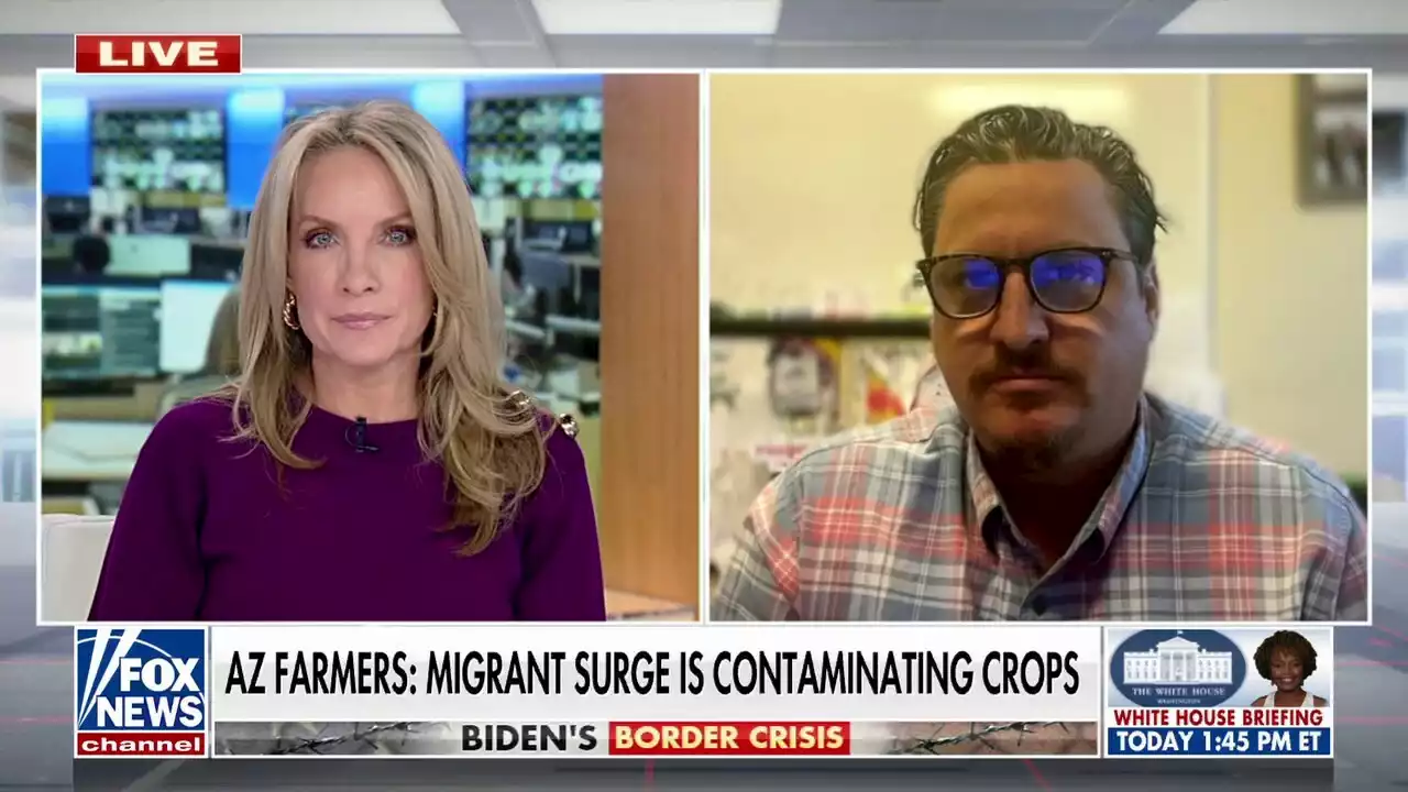 Arizona farmer warns migrants destroying crops, threatening food supply is a 'national security issue'