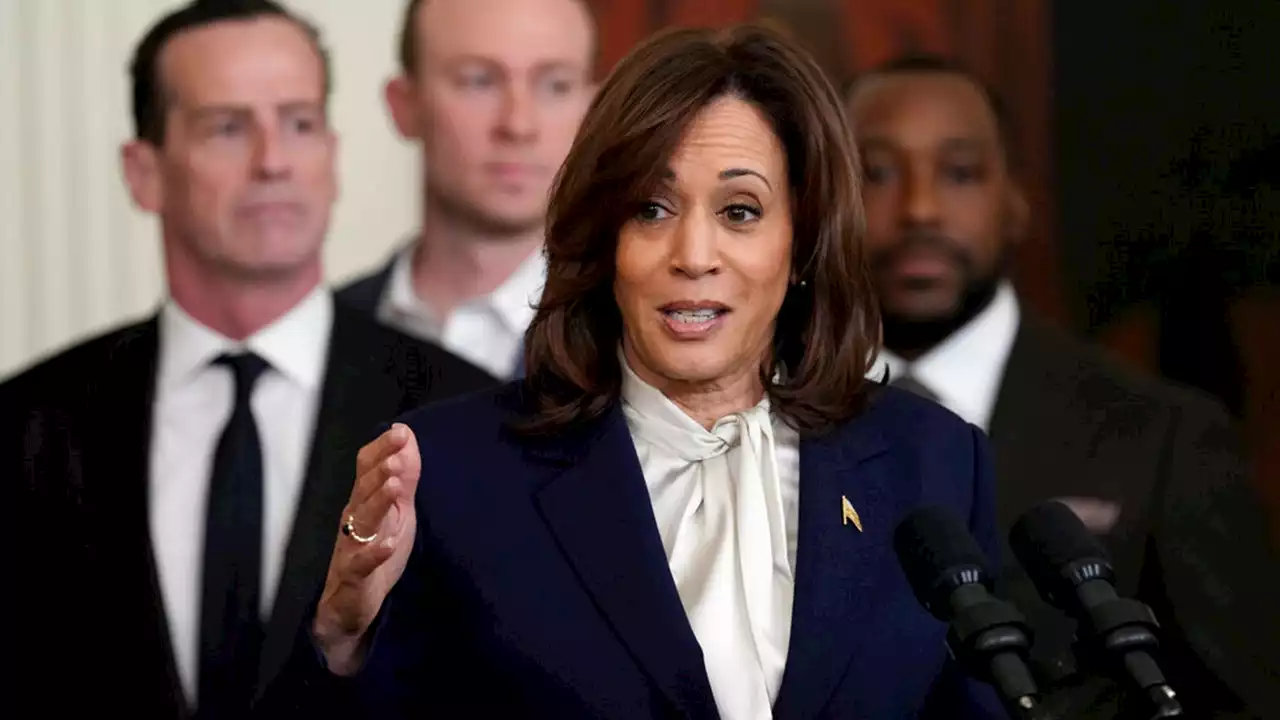 Border Patrol union rips Kamala Harris’ handling of border crisis: 'you should be fired'