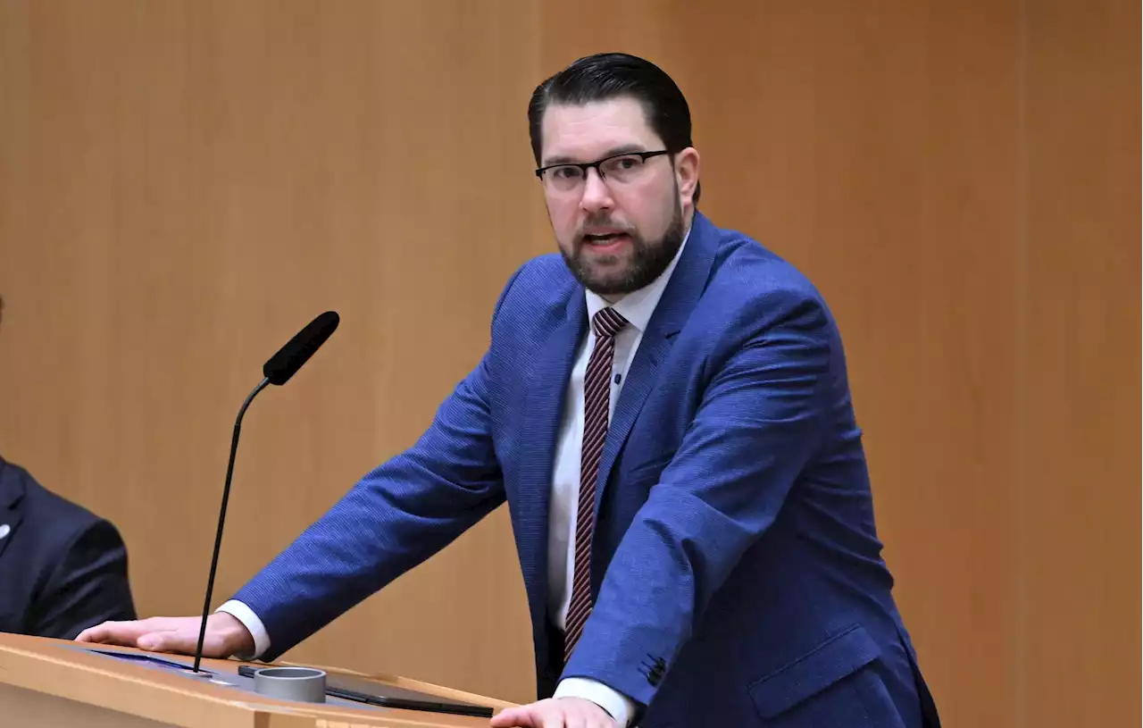 Jimmie Åkesson: Erdogan är en islamistisk diktator