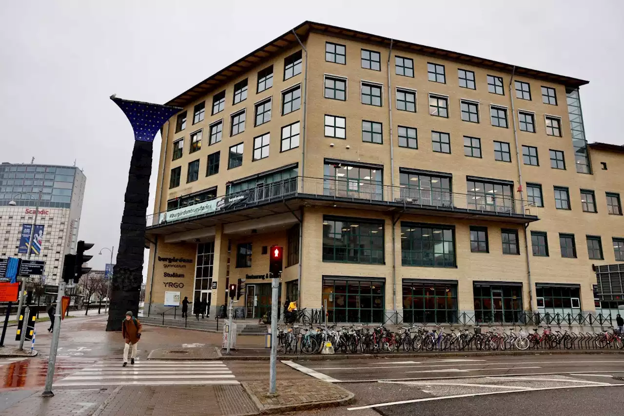 Ungdomsgäng stormade Burgårdens gymnasium