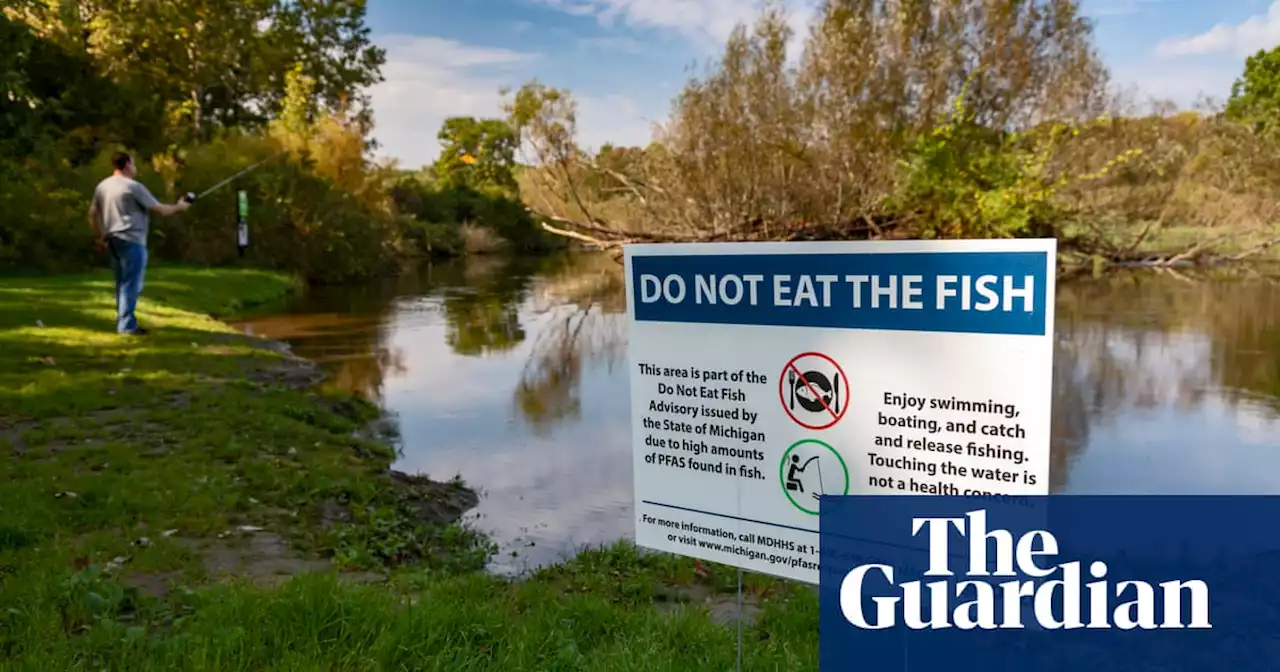 Freshwater fish more contaminated with ‘forever chemicals’ than in oceans