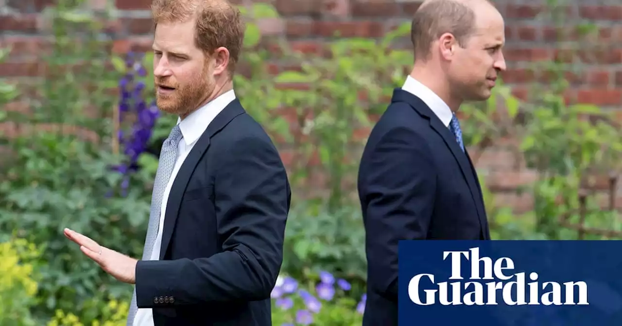 Spare by Prince Harry review – magical thinking in Montecito