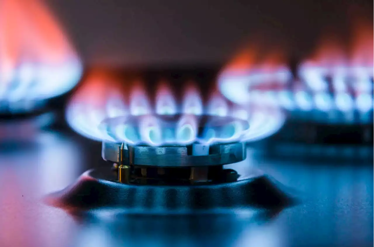 Opinion: Why the gas stove outrage?