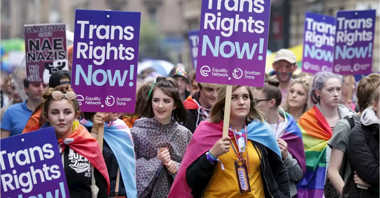 Gender Recognition Veto Pulls Trans People Into Crisis 'They Did Not Ask For', MPs Warn