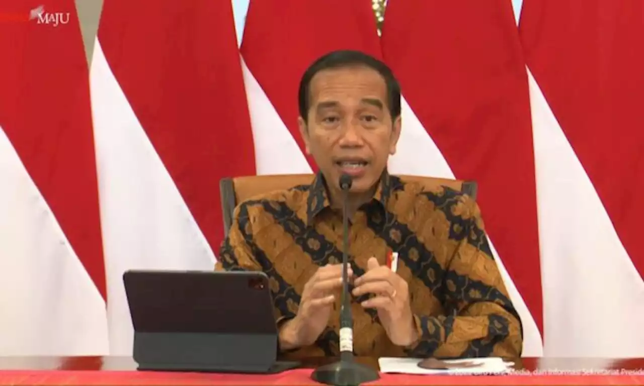 Jokowi Dorong Percepatan Penetapan UU Perlindungan PRT