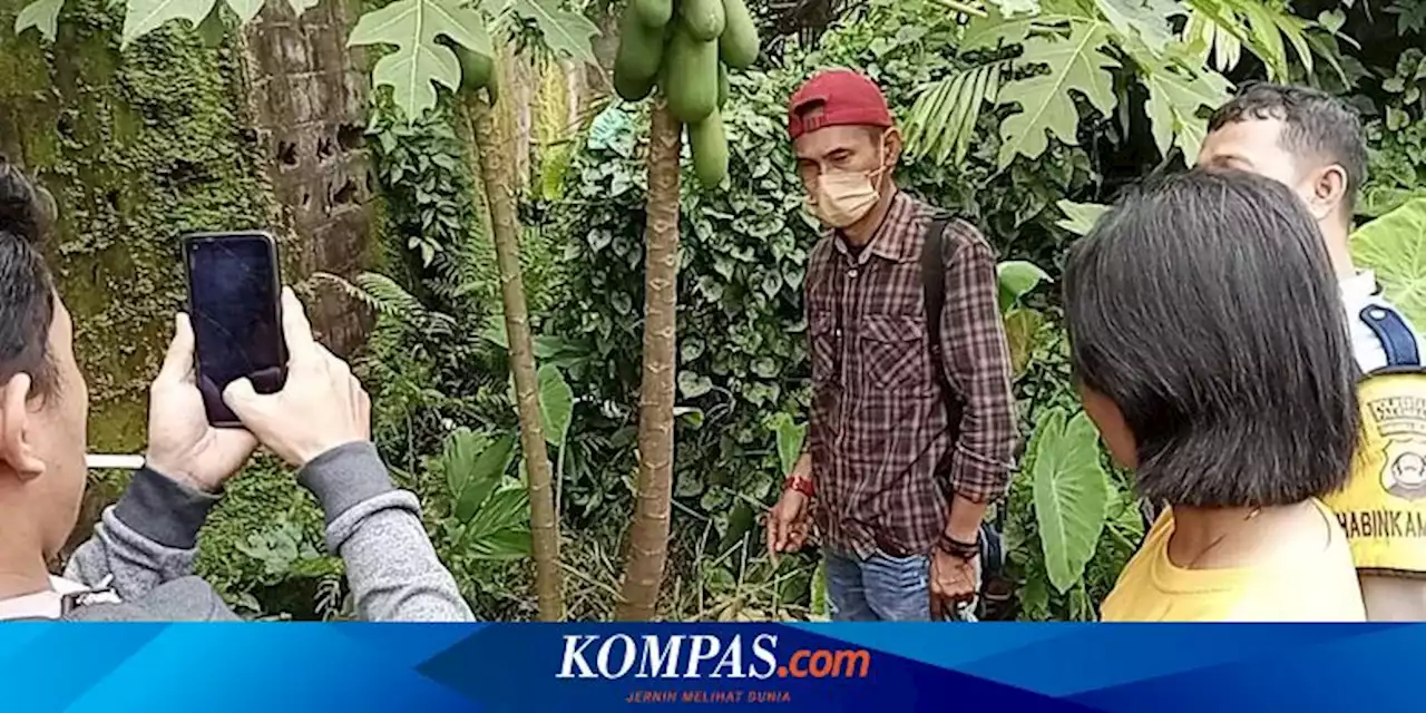 Warga Palembang Geger Temukan Janin Bayi di Bawah Pohon Pepaya, Dikira Bangkai Kucing