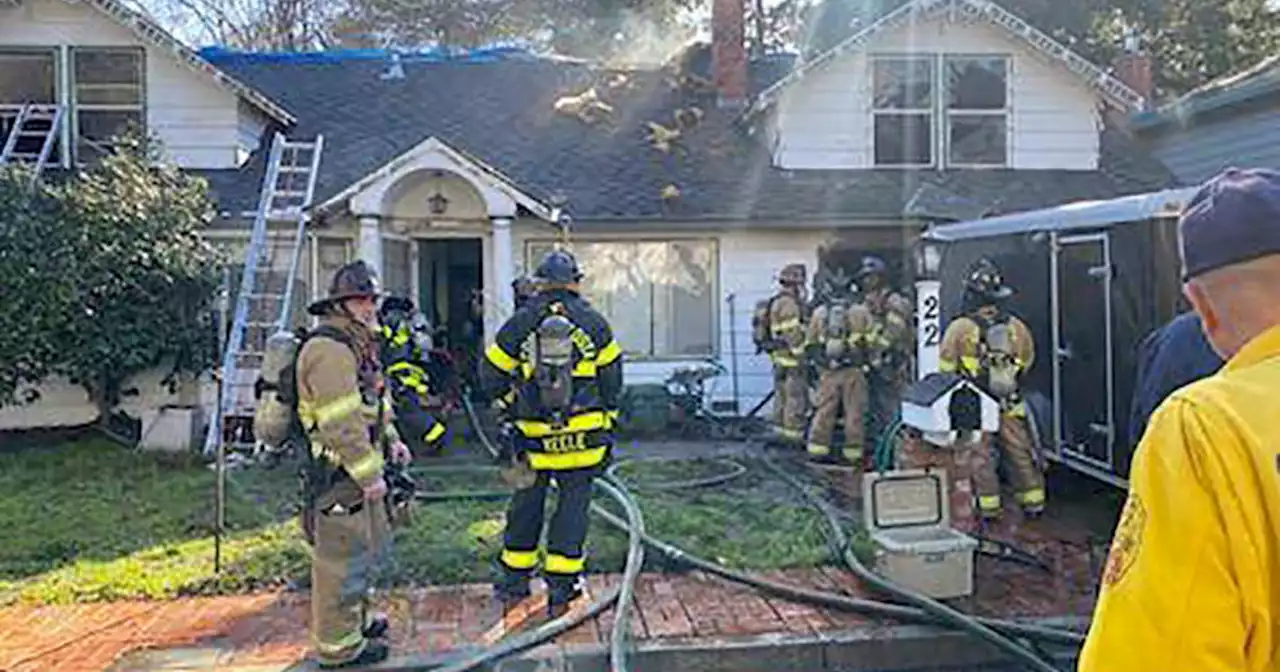 Fire crews rescue 70 dogs and cats from house fire in Martinez