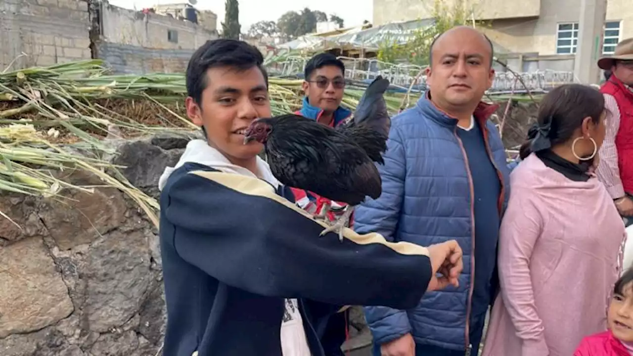 VIDEO: Con gallinas y hasta tortugas, fieles piden a San Antonio Abad que proteja a sus animales