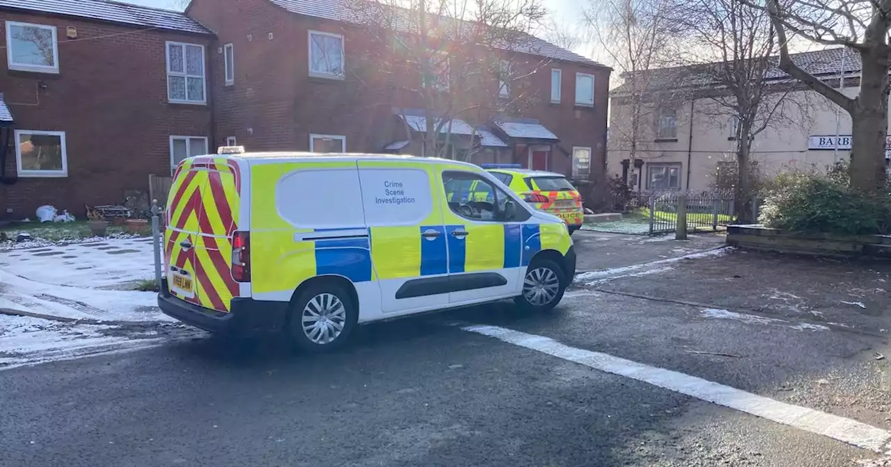 Forensic officers tape off house as man is arrested on suspicion of arson