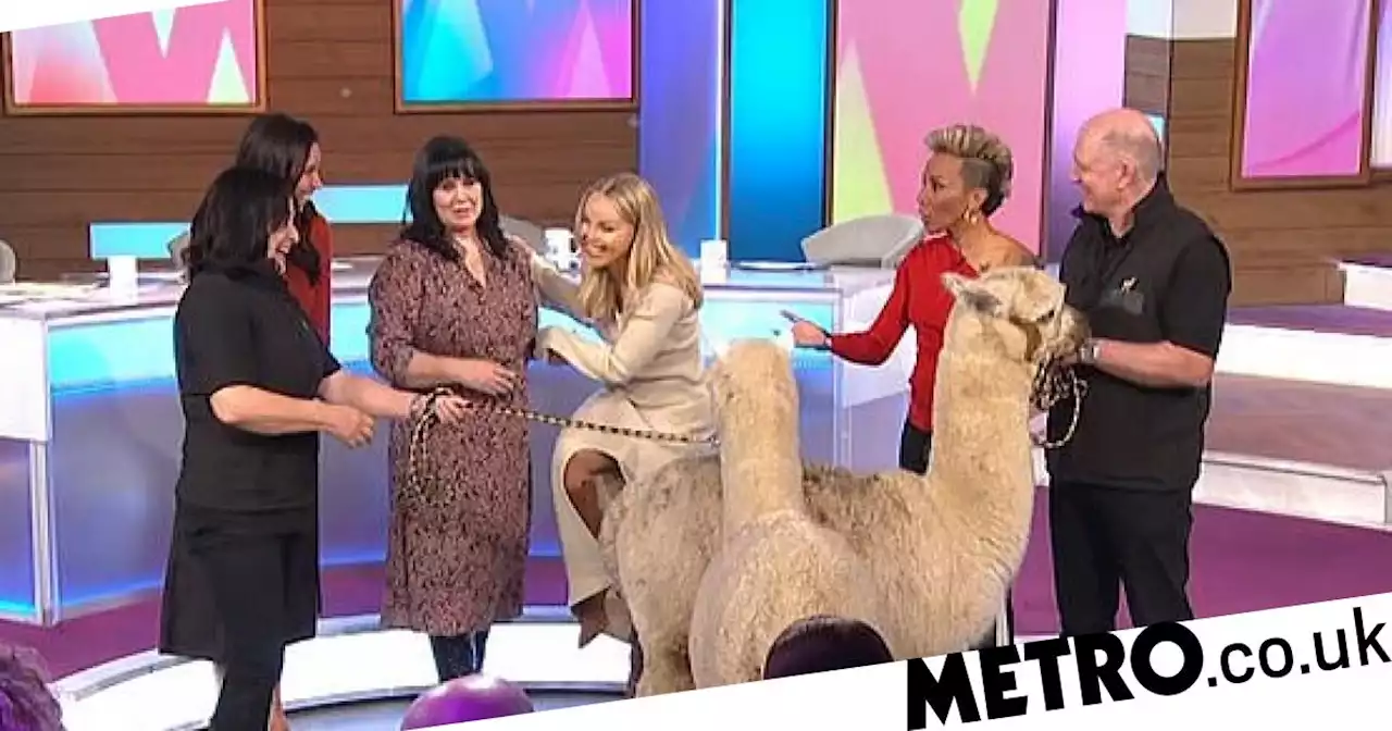 Katie Piper freaks out and trips over after alpacas enter the Loose Women studio