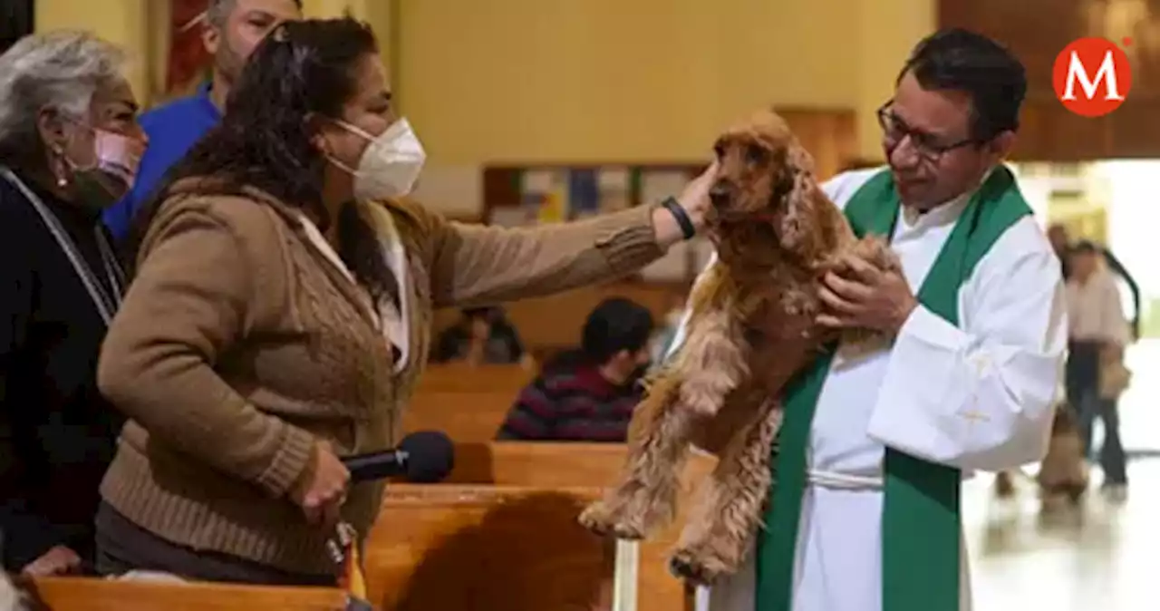 Bendicen a mascotas por el día de San Antonio Abad│FOTOS