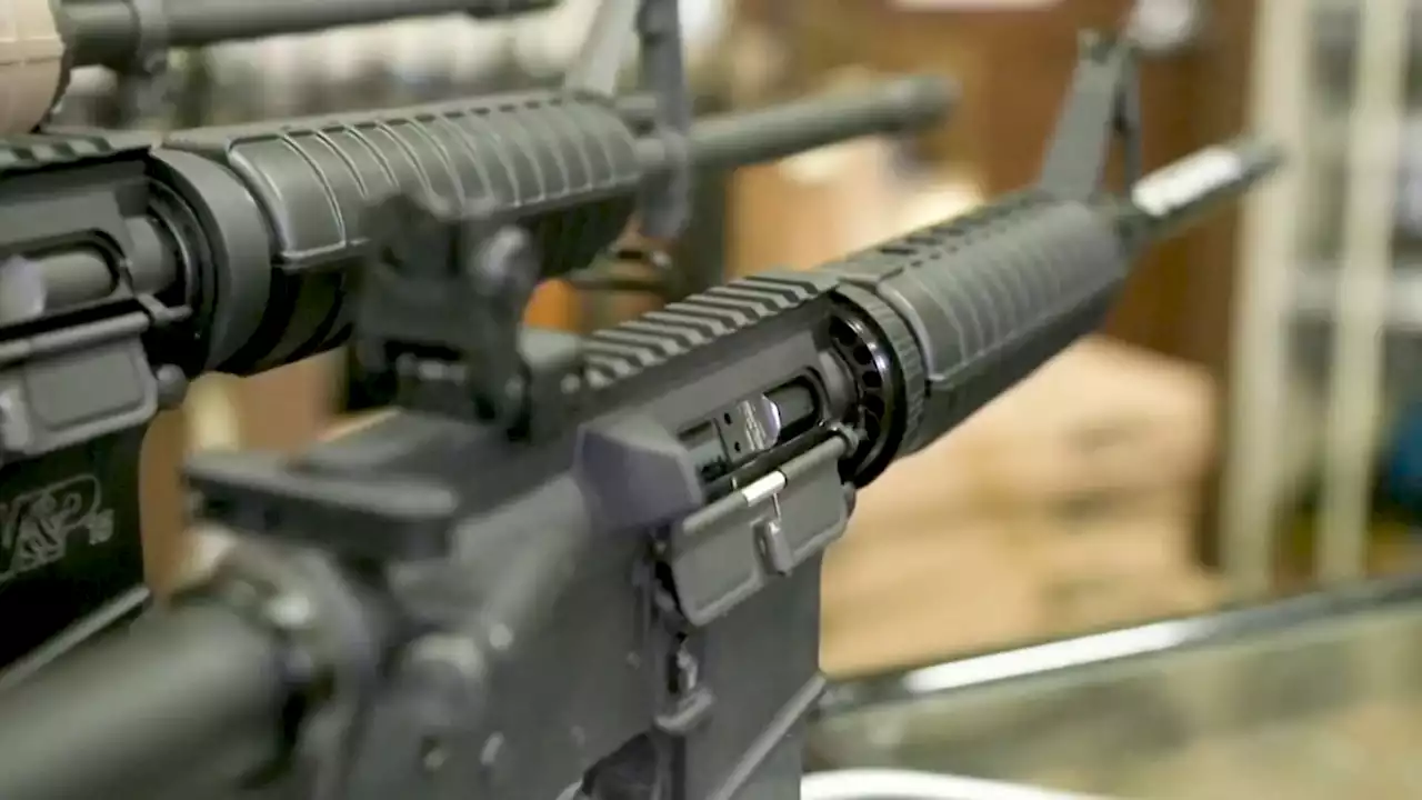 First Lawsuits Filed Against Illinois Assault Weapons Ban, With More to Come