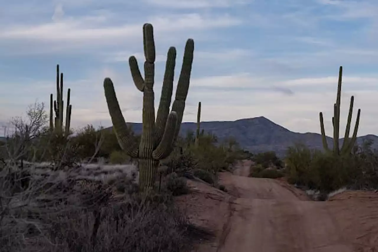 Arizona Suburb Sues the City of Scottsdale for Cutting Off Its Water Supply