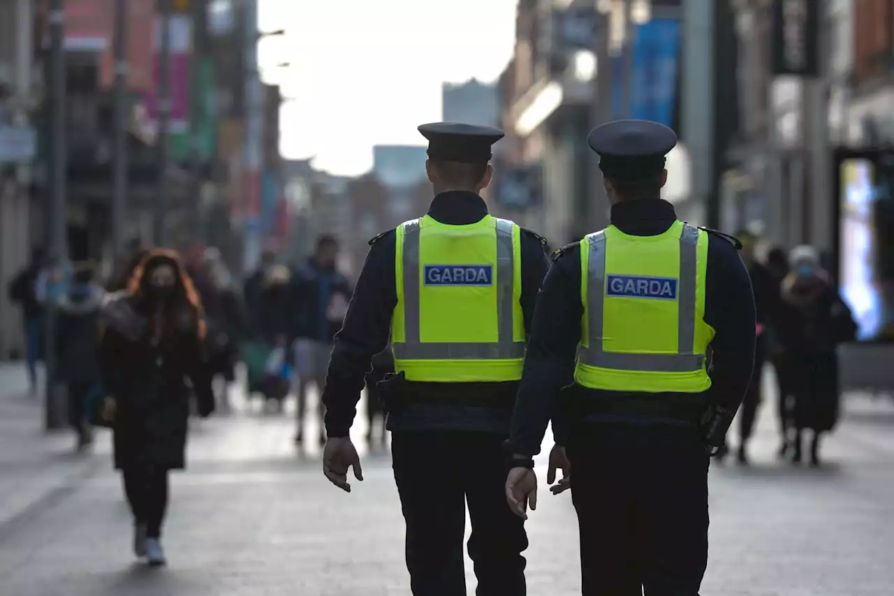 Garda fitness test the 'bare minimum' they should face - DCU expert