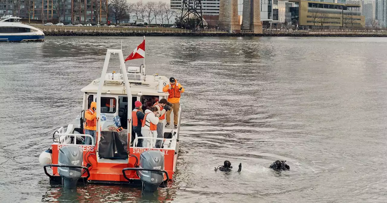 The Mammoth Bone Hunters of the East River