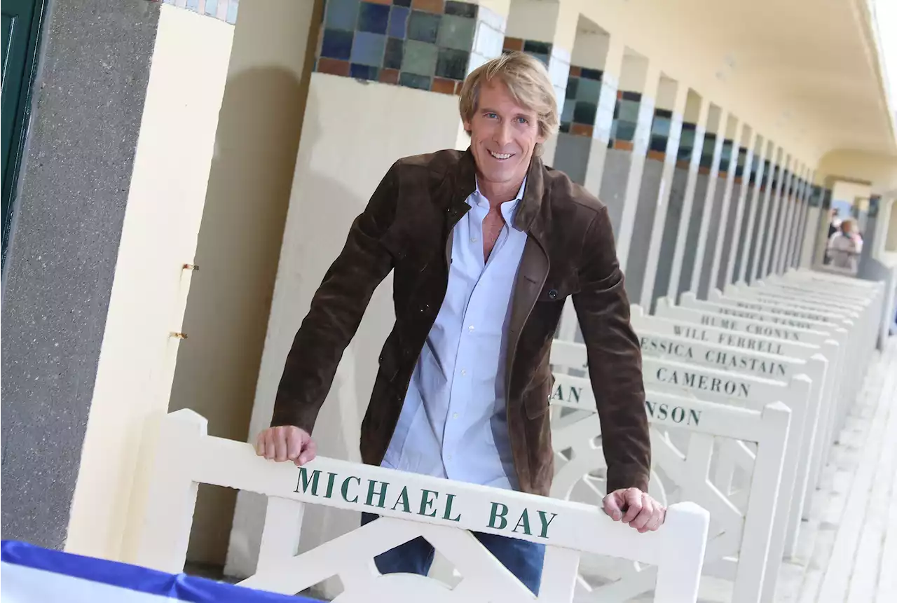 Michael Bay a juicio en Italia por matar una paloma - Zeleb