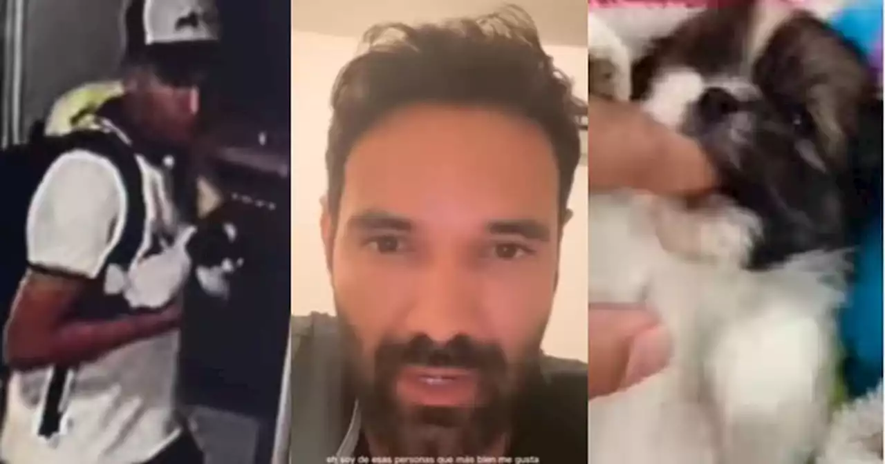 En video: Ladrón secuestró cachorra de shitzu al actor Rafael Caparroso