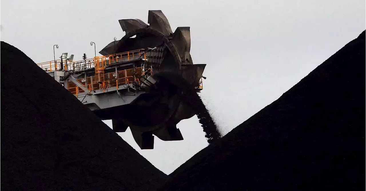 Column: Europe's gas price plunge churns up global coal markets: Maguire