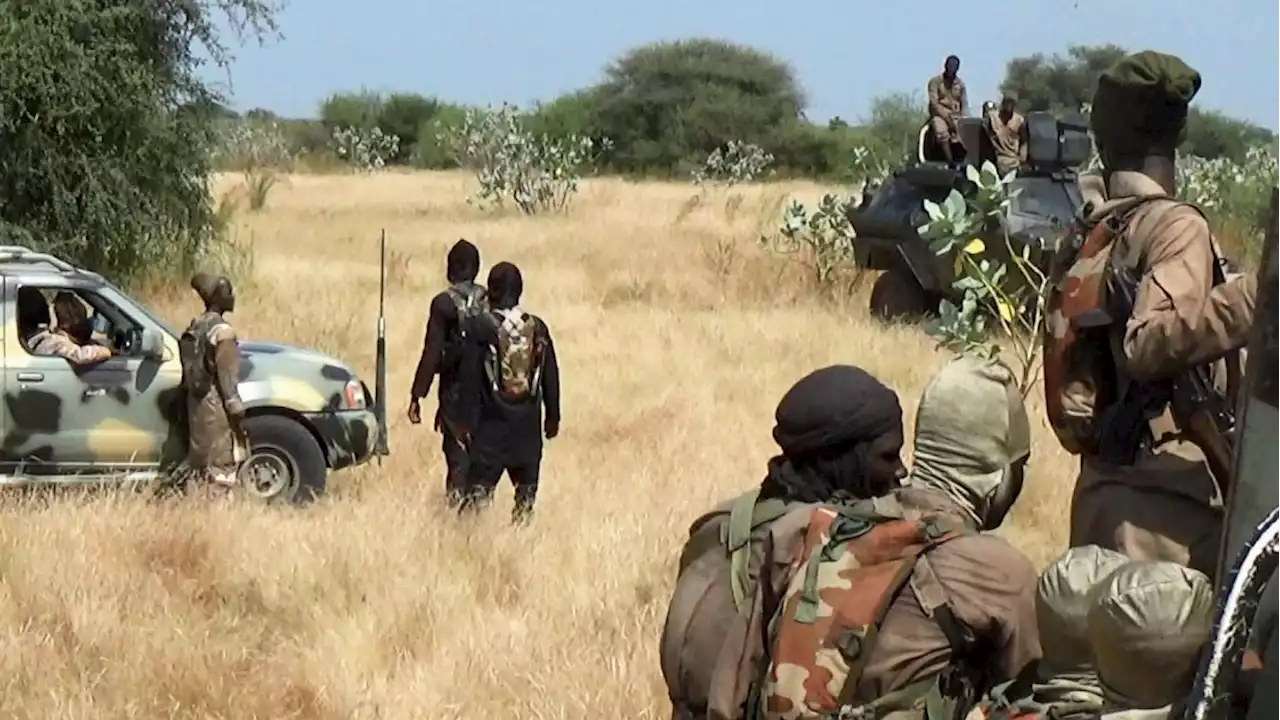 BREAKING: Boko Haram Terrorists Launch Attack On Borno Community, Kill Farmer, Abduct Eight Others | Sahara Reporters