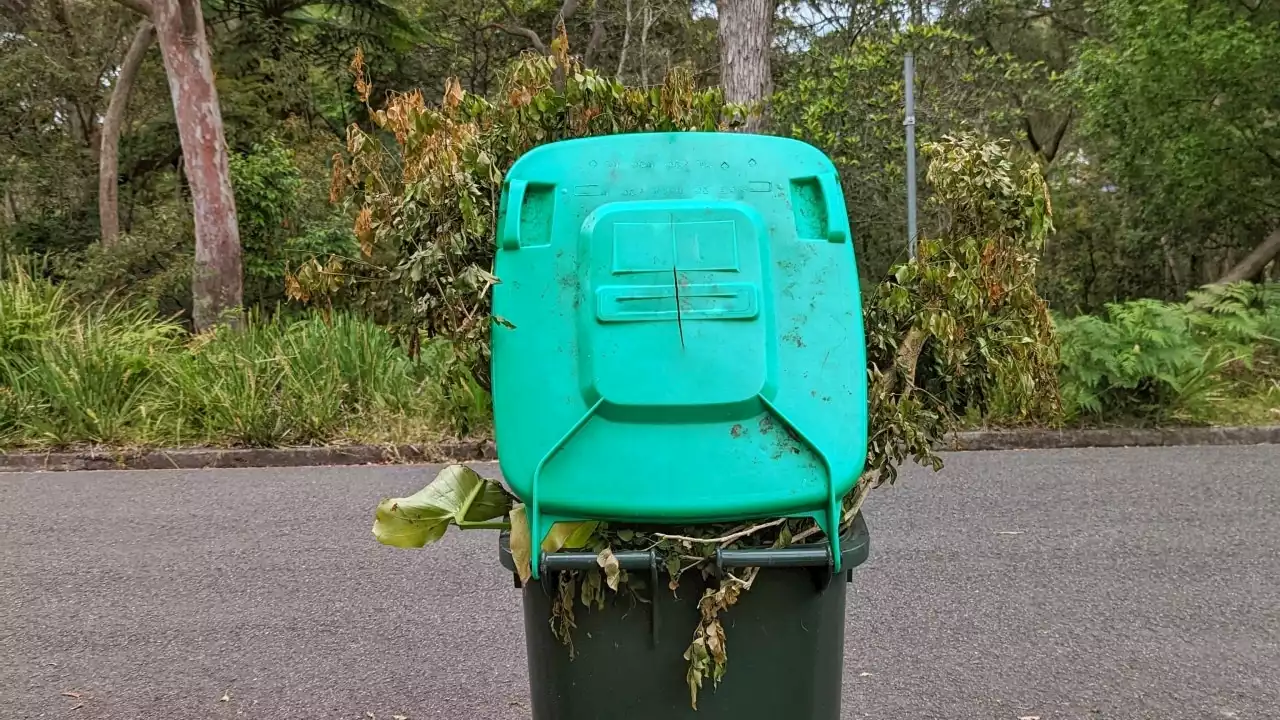 NSW's $6 million plan to cut waste for almost 300,000 households