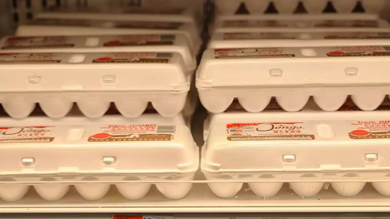 Were Anti-Theft Locks Placed on Egg Cartons During January 2023 Shortage?