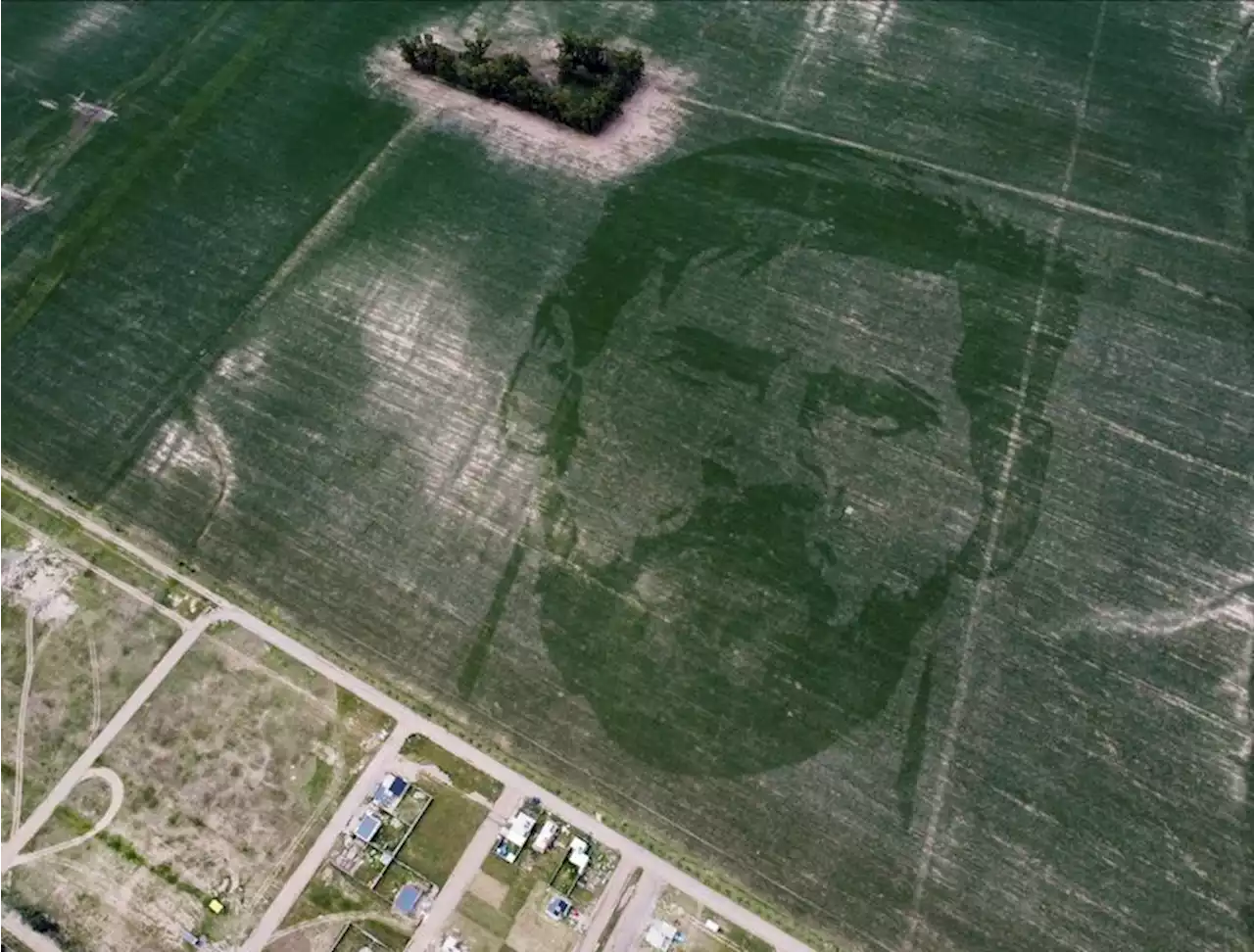 Argentine corn field planted with face of World Cup winner Messi