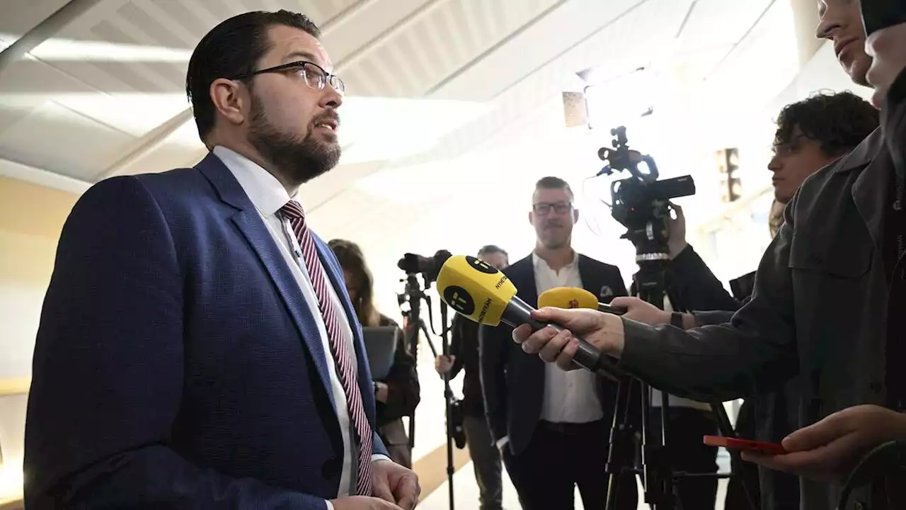 Jimmie Åkesson (SD) om Erdogan: ”En diktator”