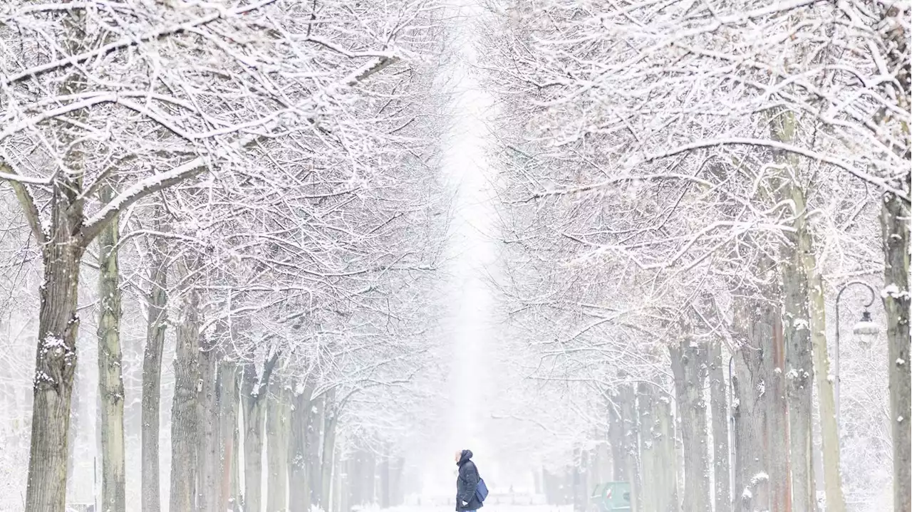 Es wird winterlich: Schnee und Glättegefahr in Berlin und Brandenburg