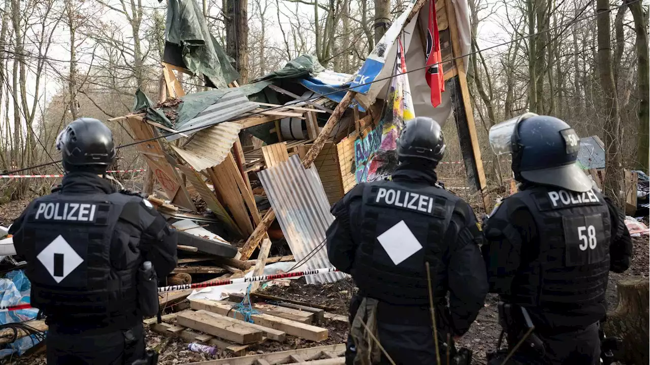 Großeinsatz in Frankfurt: Aktivisten protestieren gegen Autobahnausbau – Polizei räumt Fechenheimer Wald