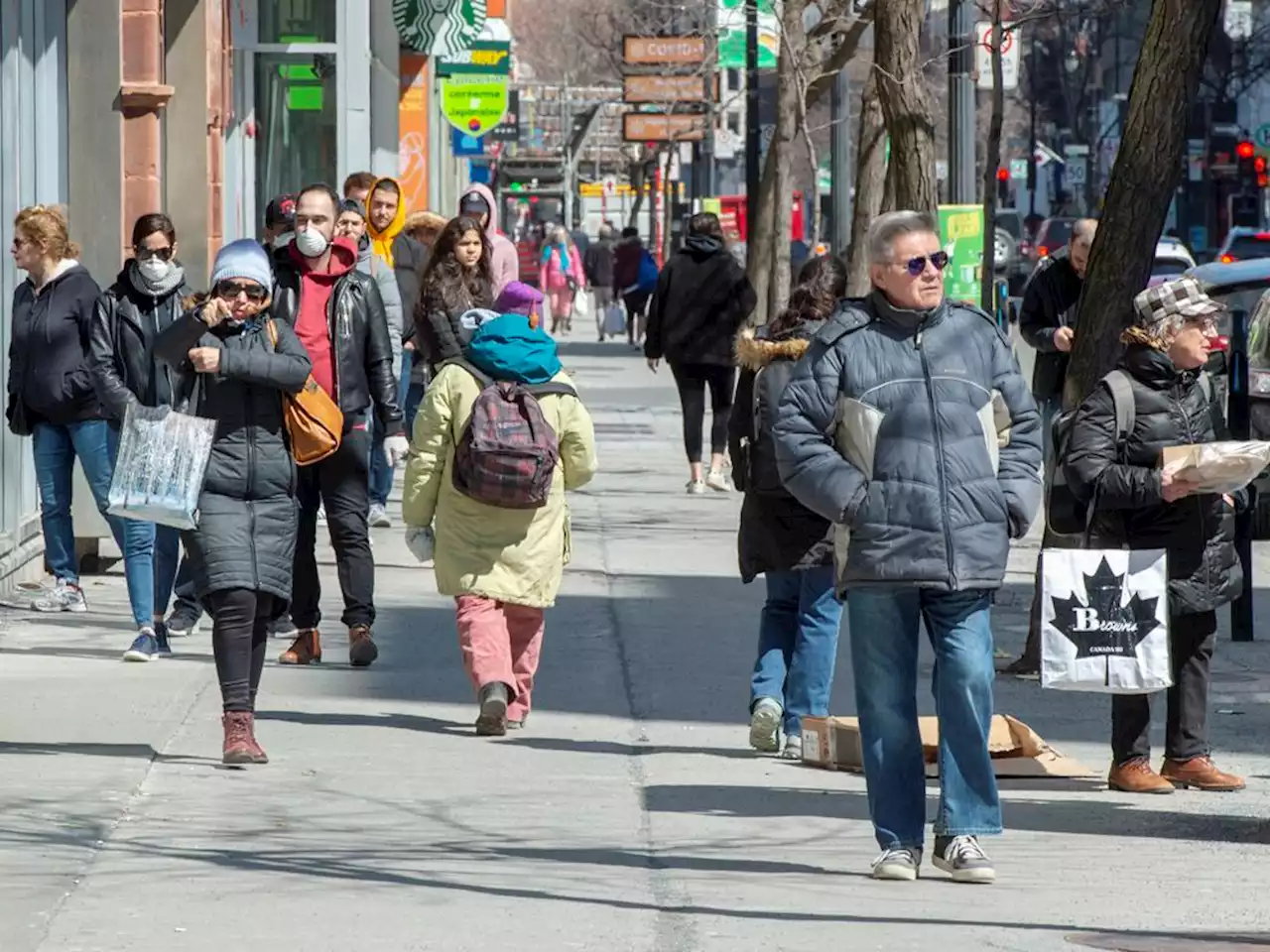 Quebec taking dwindling share of immigrants to Canada, according to new data