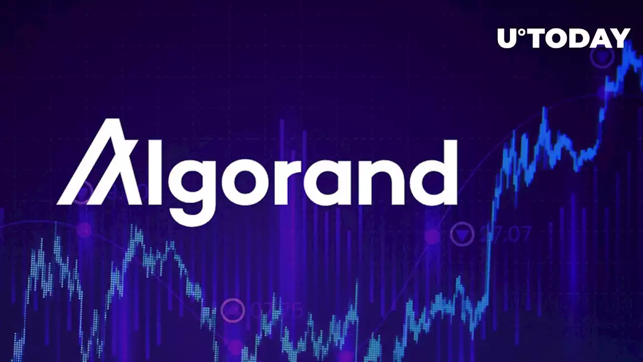 Algorand (ALGO) Records 15% Growth Following Major DeFi Milestone