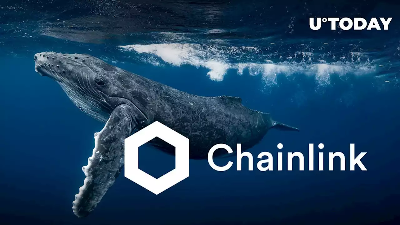 Are Whales Pushing Chainlink (LINK) Upward? Here's What Data Shows