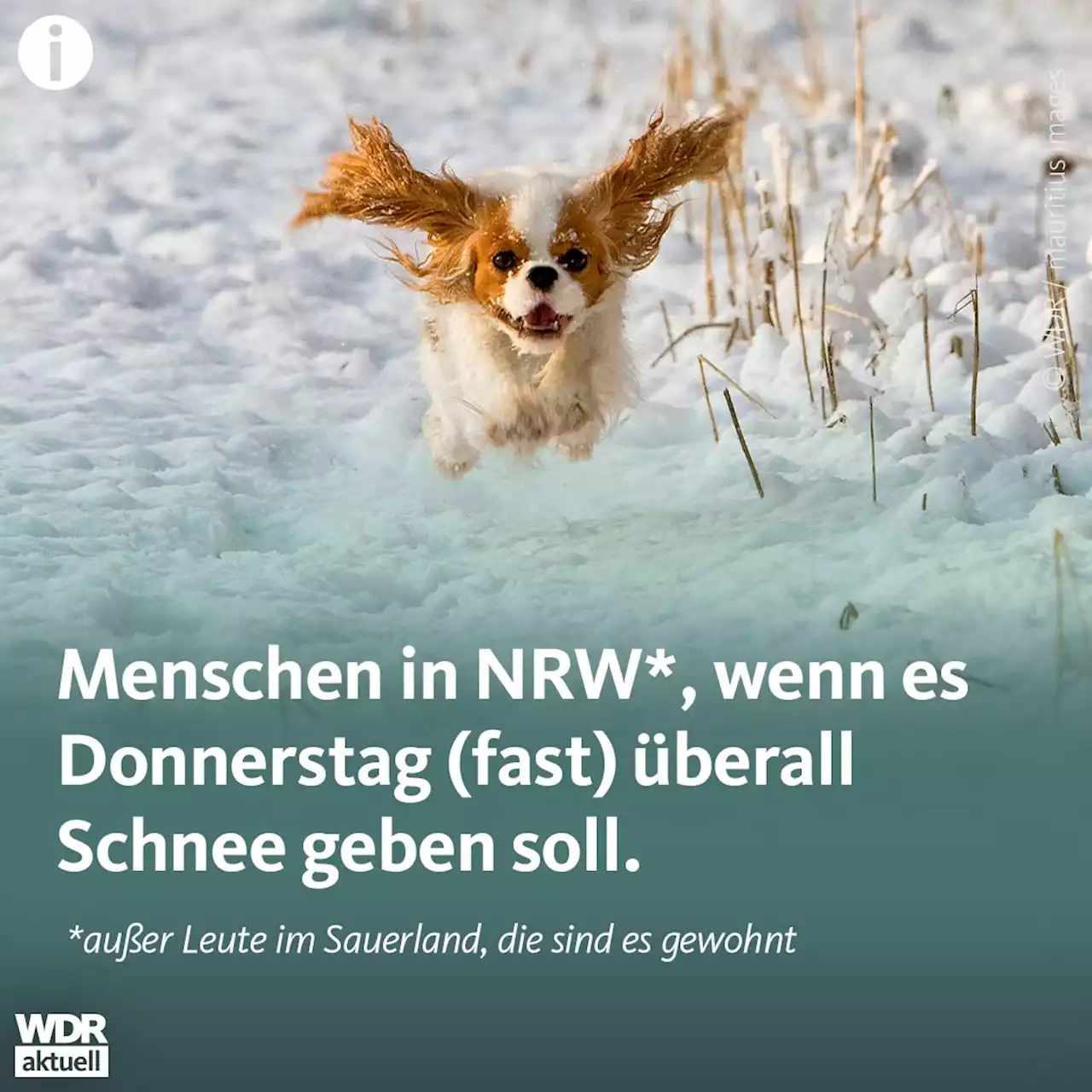 Winterwetter in NRW: Schnee und Glätte am Donnerstag