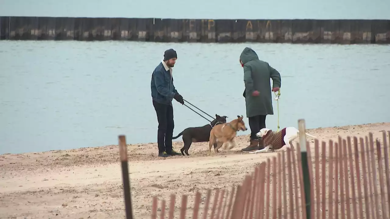 Warmth Can't Last Forever: Frigid Temps to Hit Chicago Next Week