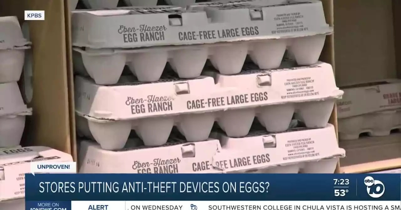 Fact or Fiction: Stores putting anti-theft devices on eggs?