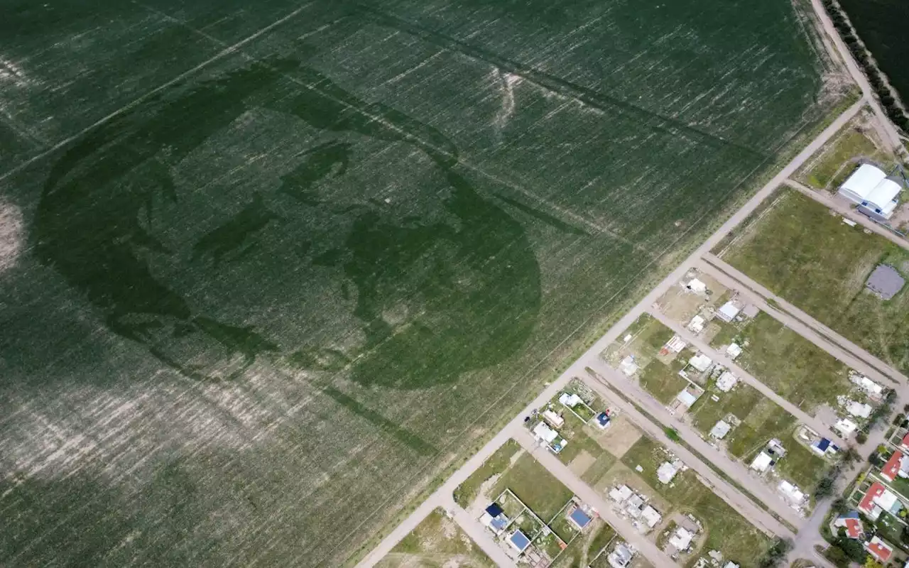 Campo de maíz argentino fue sembrado con la cara del mundialista Messi