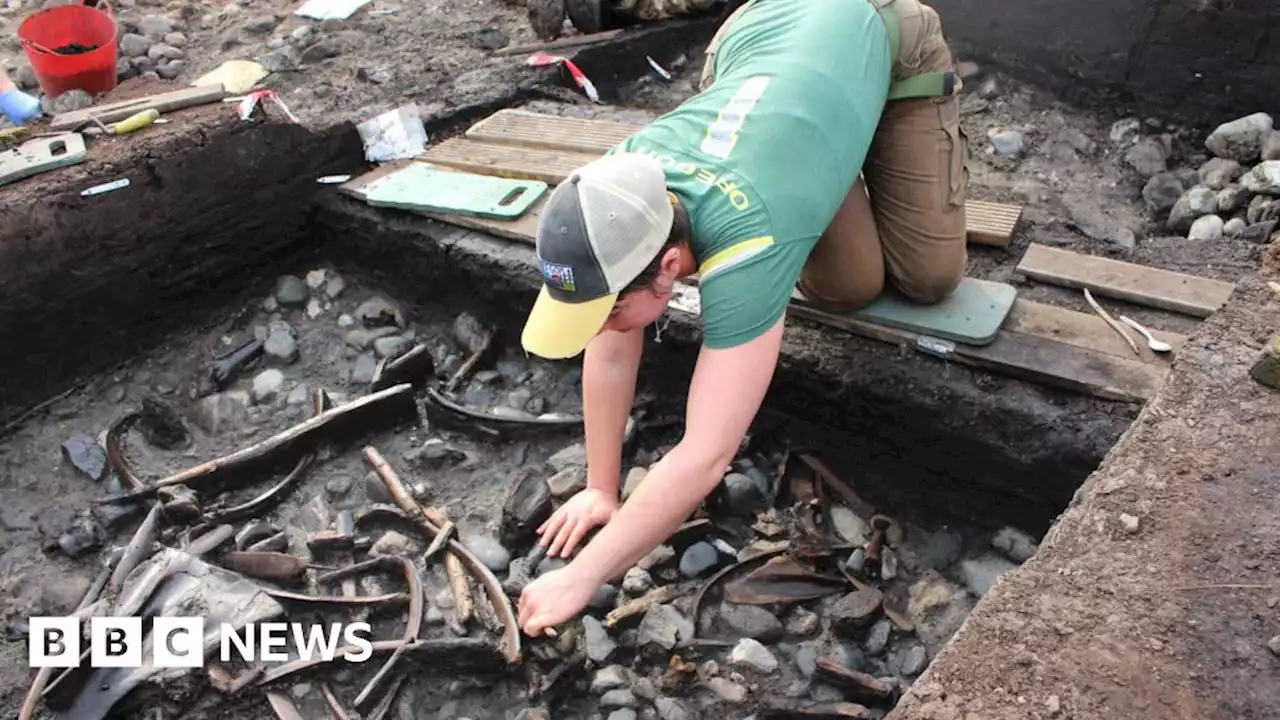 Scarborough dig: Rare finds offer insight into Stone Age life