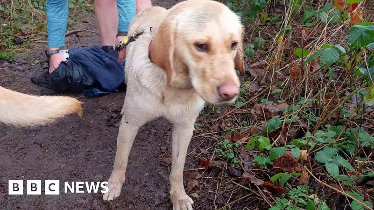 Walker and trainee guide dog rescued icy river in Sowerby Bridge