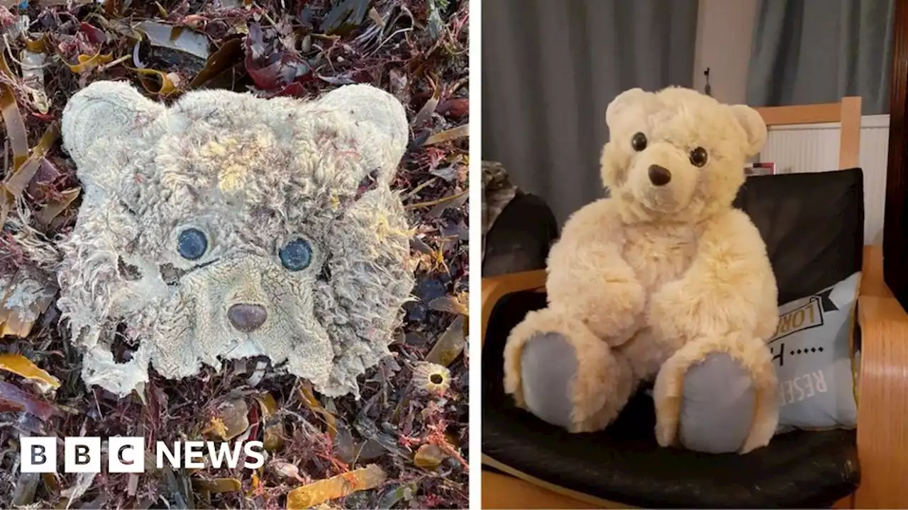 Battered storm teddy bear found in Cornwall lovingly restored