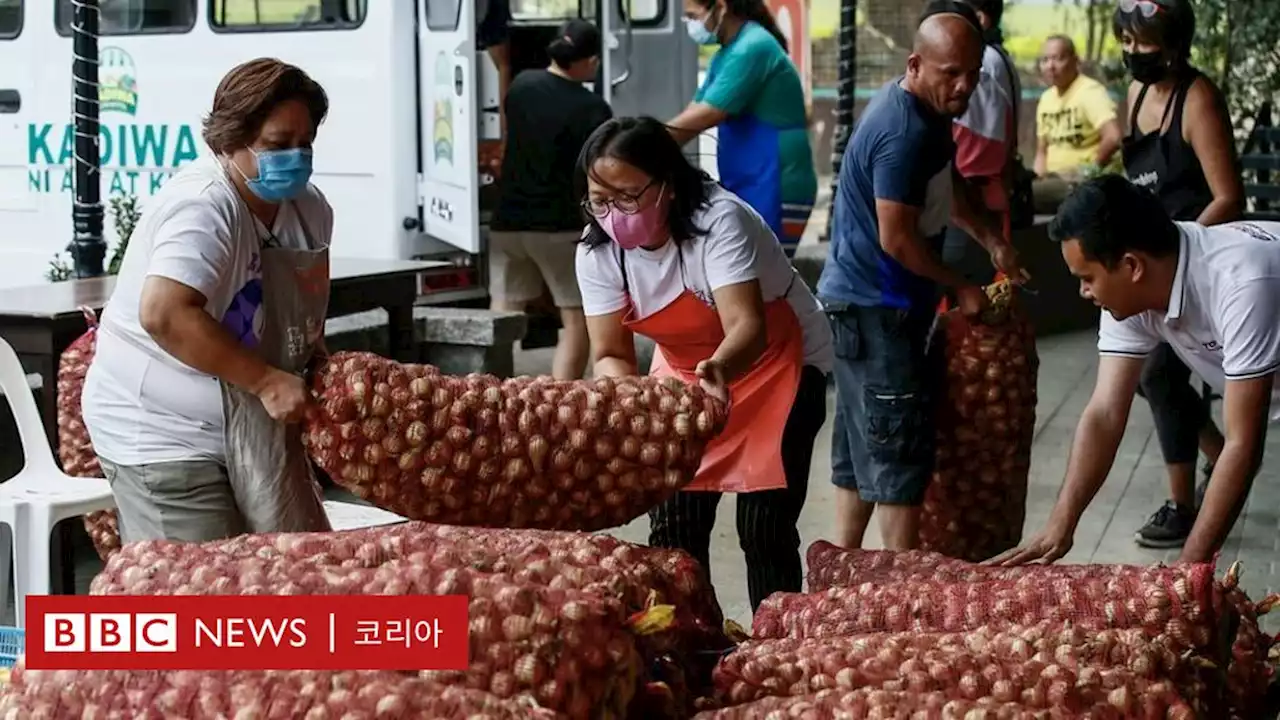 고기보다 양파가 비싼 나라는 어디일까? - BBC News 코리아