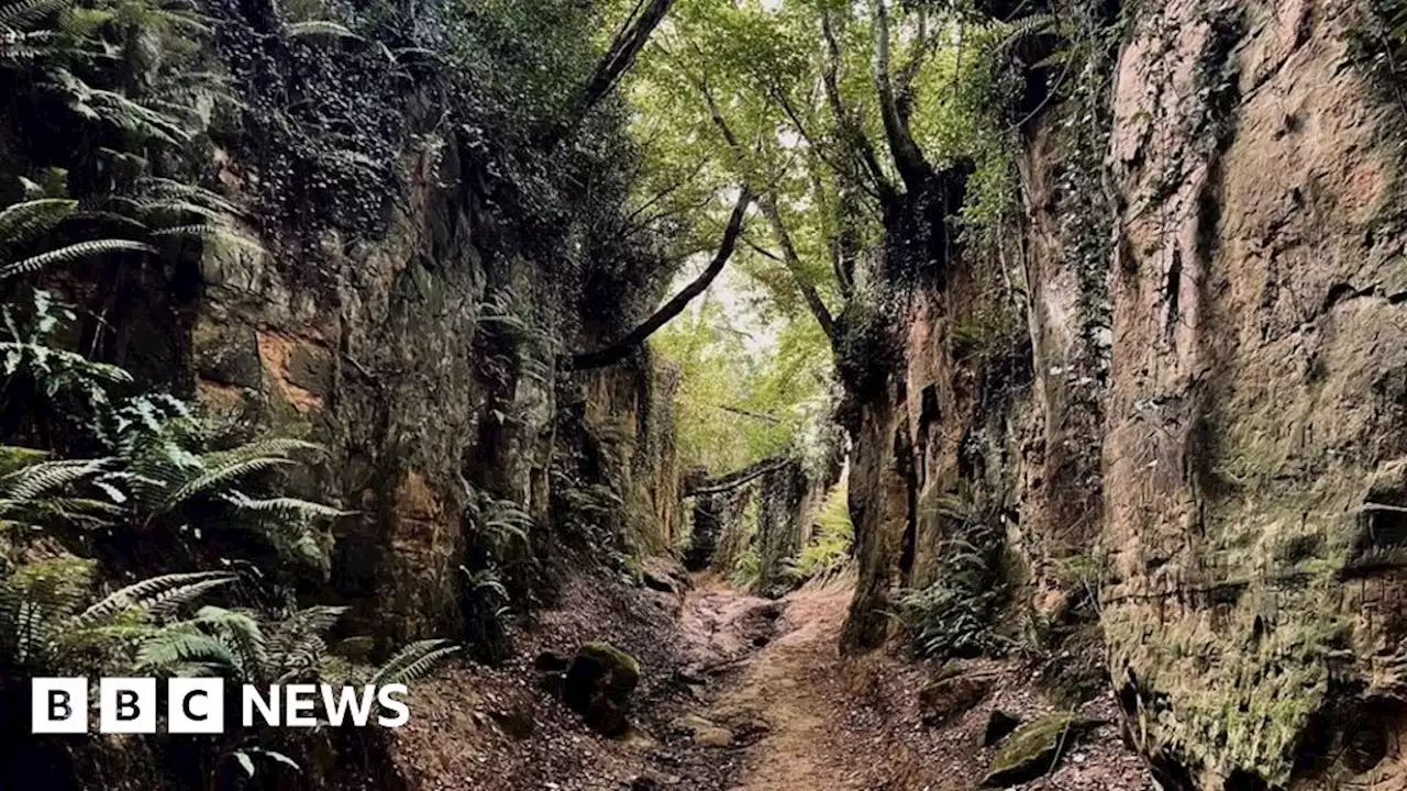 Project to map Dorset's ancient sunken holloways