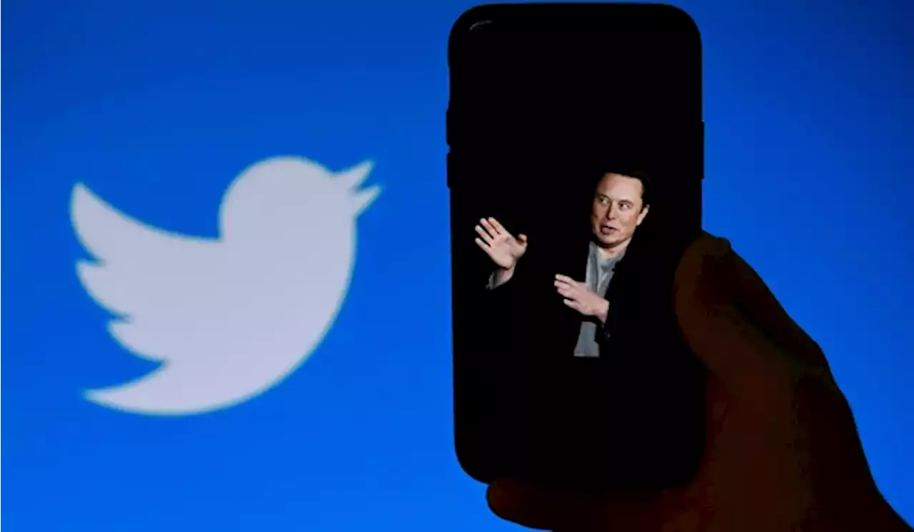 Elon Musk Lelang Barang di Markas Twitter, Patung Logo Burung Laku Rp 1,5 M