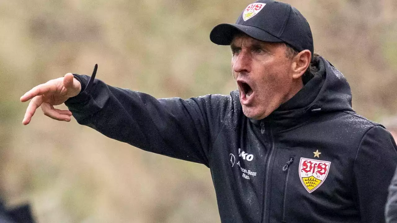 VfB Stuttgart: Vor dem Start hat Coach Bruno Labbadia noch Baustellen