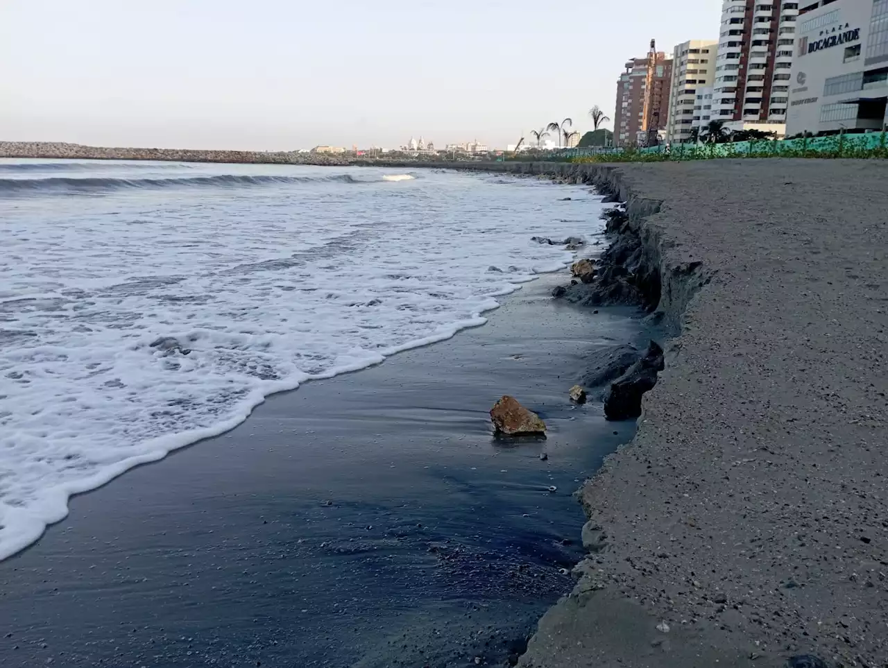 Playa 5 en Bocagrande se está erosionando